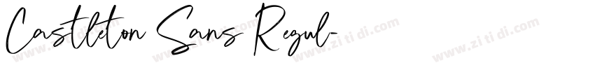 Castleton Sans Regul字体转换
